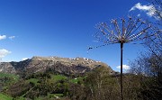 37 Primo balcone panoramico sul Monte Guglielmo